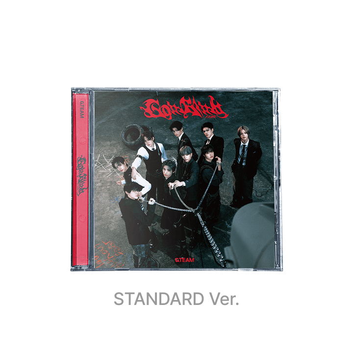 &TEAM - 3rd Single Album ‘Go in Blind’ (Standard Edition)