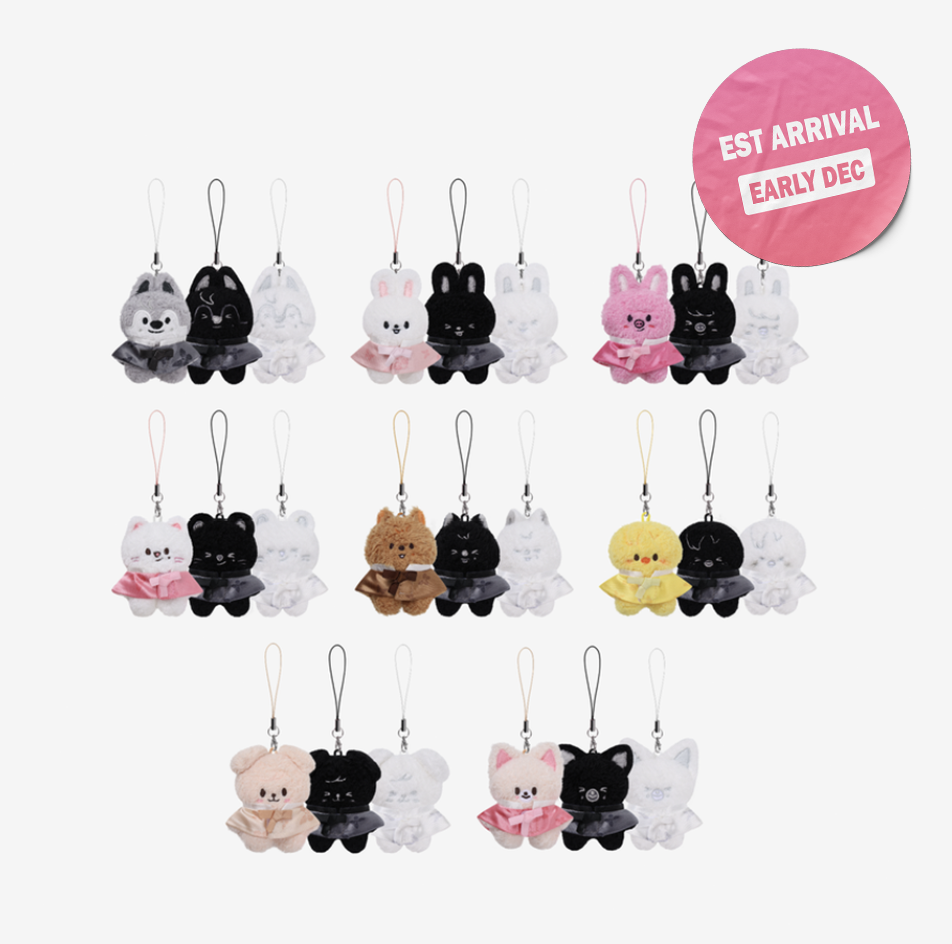 [PRE-ORDER] STRAY KIDS - World Tour RUN IT SEOUL MD (SKZOO Secret Plush Micro Ver.)