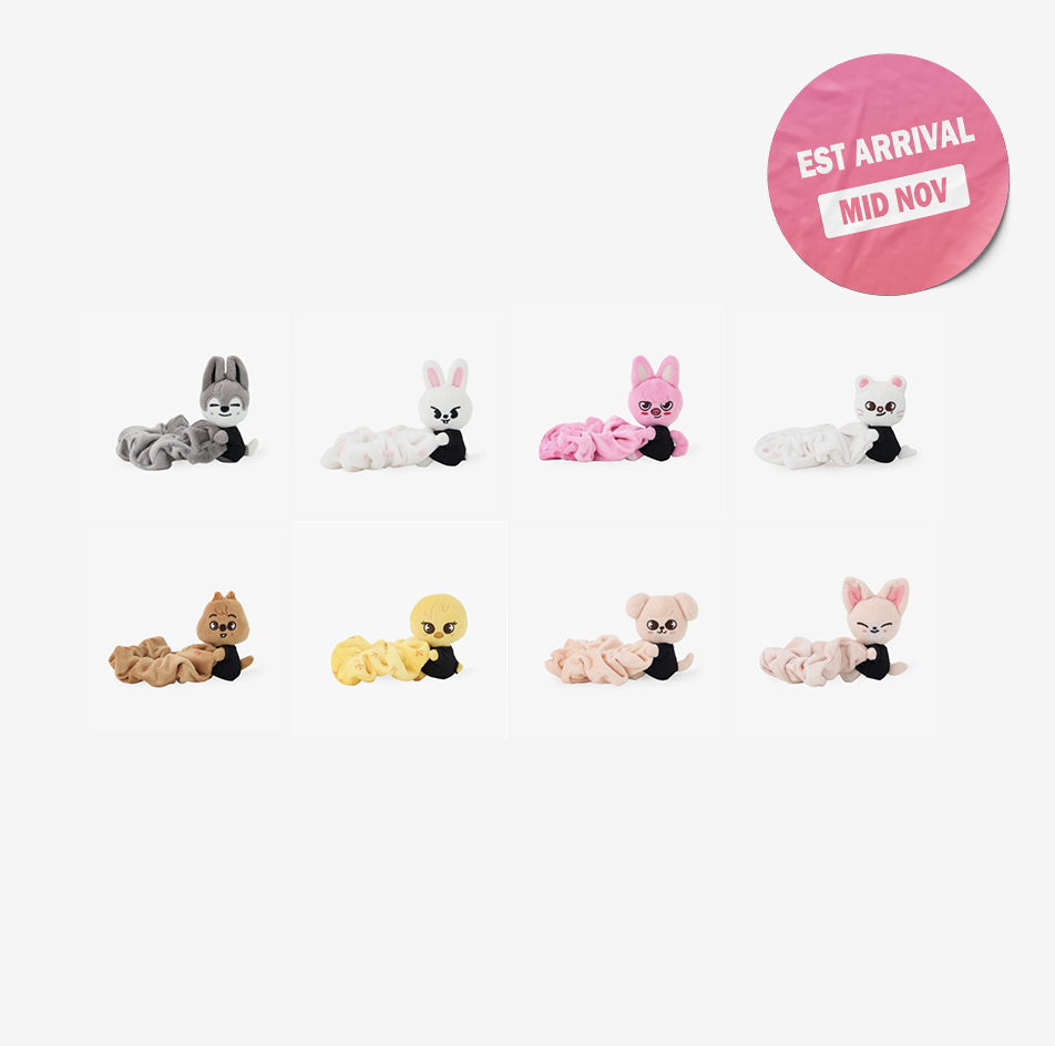 [PRE-ORDER] STRAY KIDS - World Tour ‘RUN IT JAPAN’ MD (SKZOO Scrunchie)